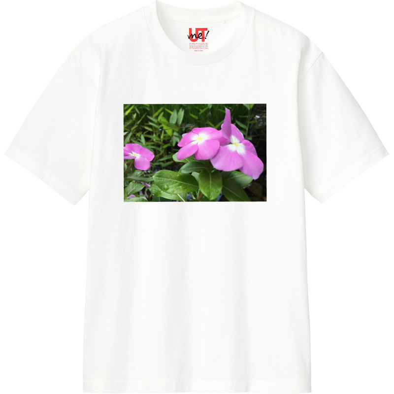 295c79ef 6788 4280 a2bf c7e0120c99c2 110 print ll