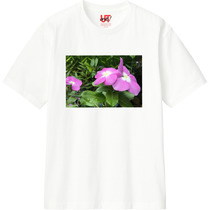 295c79ef 6788 4280 a2bf c7e0120c99c2 110 print s