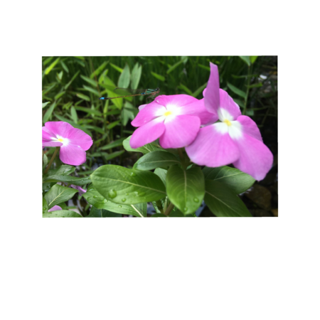 295c79ef 6788 4280 a2bf c7e0120c99c2 s