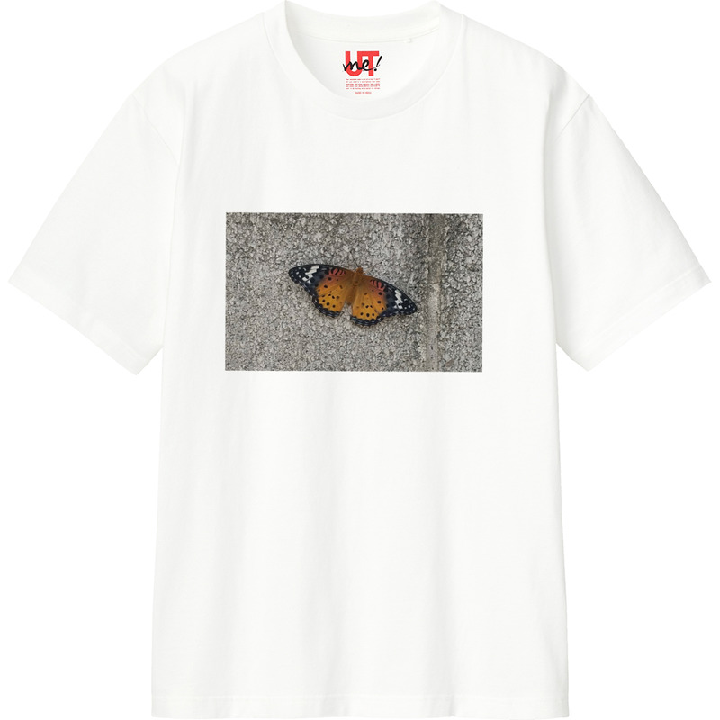 4aecd08a 6541 4d0c b128 b8388a7e42db 110 print ll