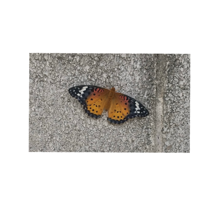 4aecd08a 6541 4d0c b128 b8388a7e42db s