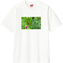 212c2f6f b350 4d13 a450 aa749779dd71 110 print s