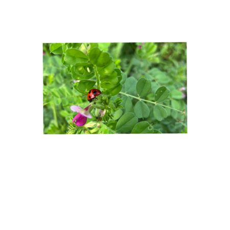 212c2f6f b350 4d13 a450 aa749779dd71 s