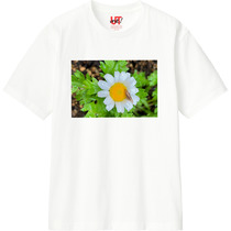 8a60e4d6 7231 496d 8712 0ed75e4e7142 110 print s