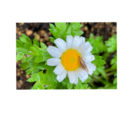 8a60e4d6 7231 496d 8712 0ed75e4e7142 s