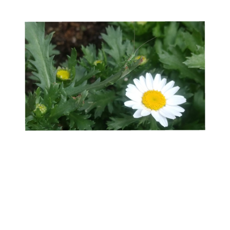 17c1c0d4 d641 47e2 ada9 b31629ebe518 s