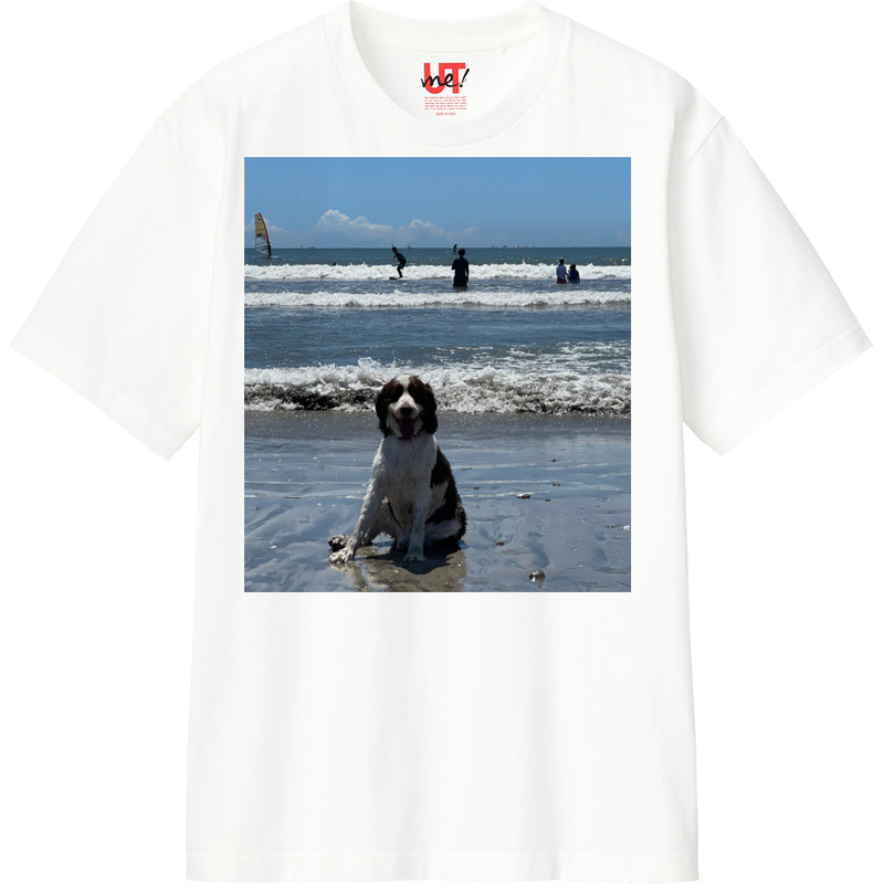 A2fb81b9 5f0c 4f53 a165 3c48f9739d5b 110 print ll