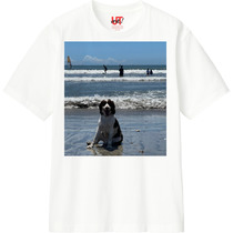 A2fb81b9 5f0c 4f53 a165 3c48f9739d5b 110 print s