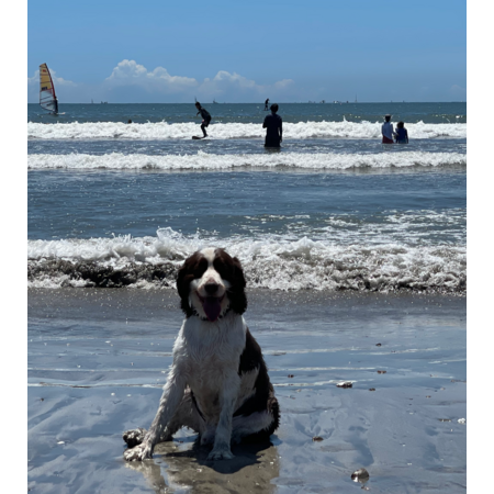 A2fb81b9 5f0c 4f53 a165 3c48f9739d5b s