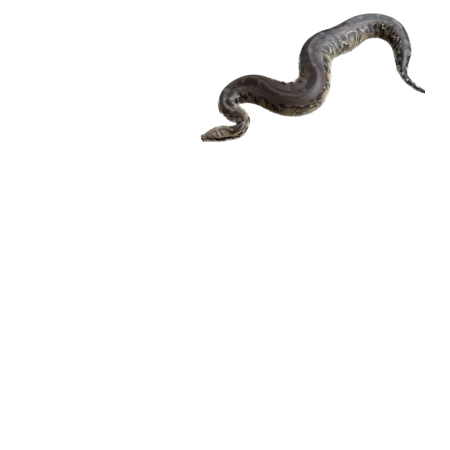 4f419a27 70b2 4440 92aa e9ba6c139bed s