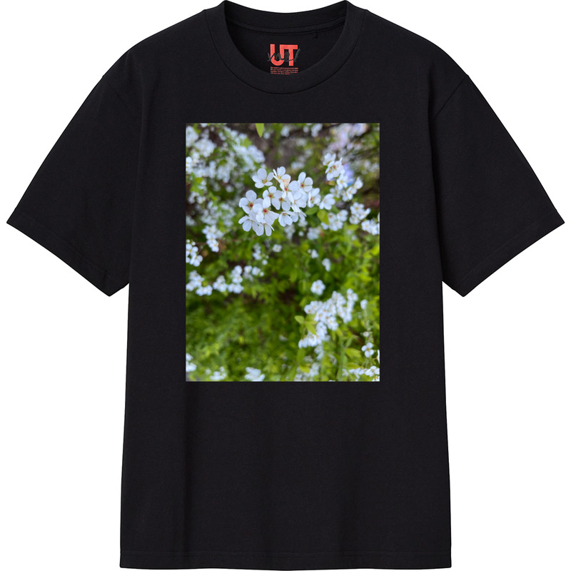 66b106d1 f178 4f3c 859c 16d453538248 111 print ll