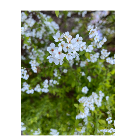 66b106d1 f178 4f3c 859c 16d453538248 s