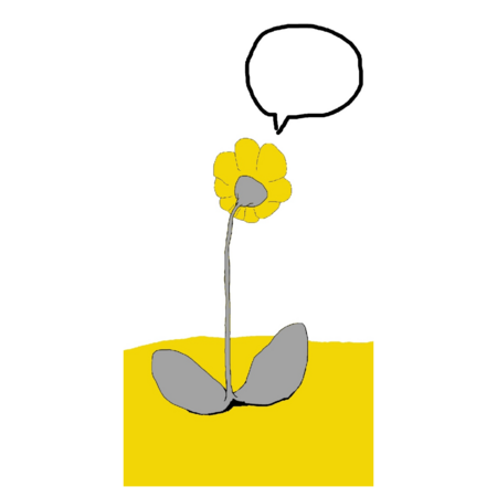 C5ff418f a52f 4aec b9db 91b49fd1da84 s