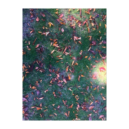 Ab3807a5 8942 4b62 afa7 e7ed7b4c316d s