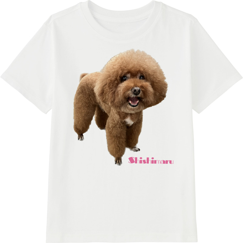 1c58d5cd 5d93 4bcb 843e 4bffccb9b151 45 print ll