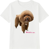 1c58d5cd 5d93 4bcb 843e 4bffccb9b151 45 print s