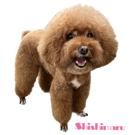 1c58d5cd 5d93 4bcb 843e 4bffccb9b151 s