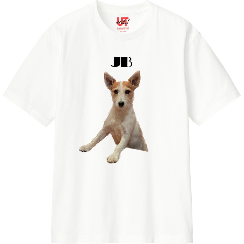 C683e319 341f 47f8 ad66 36d622833fe5 110 print ll