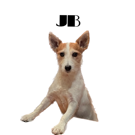 C683e319 341f 47f8 ad66 36d622833fe5 s