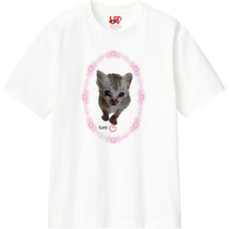 F83033f3 81ae 4bc4 a198 7fd2fdf8c4e9 110 print s