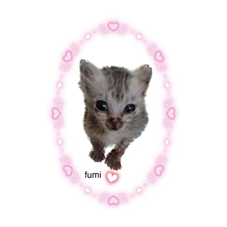 F83033f3 81ae 4bc4 a198 7fd2fdf8c4e9 s