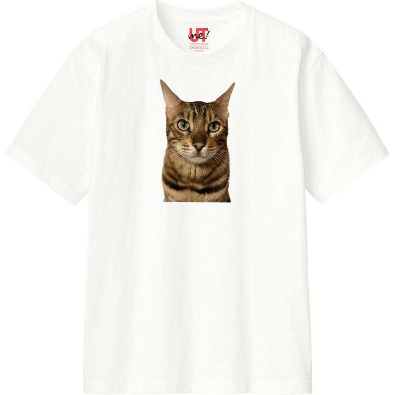 Dec79038 e06a 4c21 8812 a4675e8644b7 110 print ll