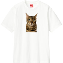 Dec79038 e06a 4c21 8812 a4675e8644b7 110 print s