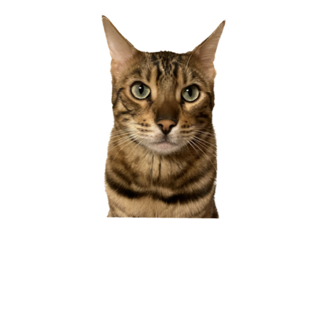 Dec79038 e06a 4c21 8812 a4675e8644b7 s