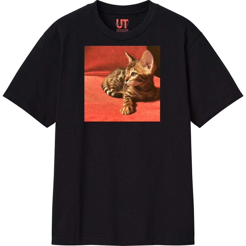 Dda26e2f ef59 4f56 8832 1a2a5374fdc6 111 print ll