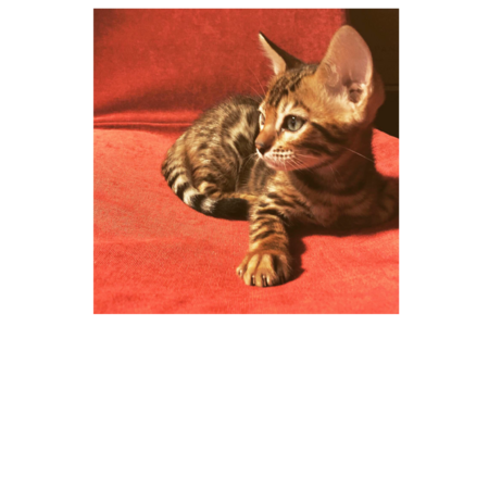 Dda26e2f ef59 4f56 8832 1a2a5374fdc6 s