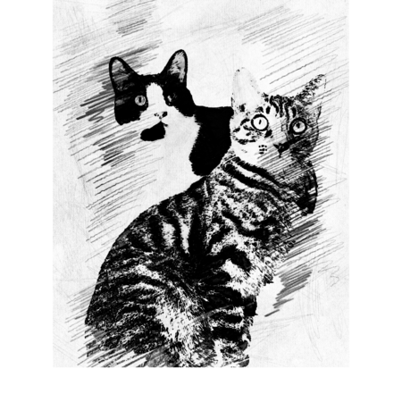 232864a7 2e32 46a4 9ebe e8876f2bc6ef s