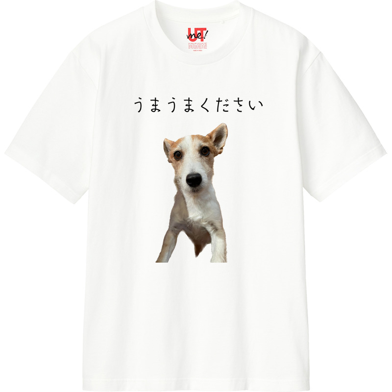 F7e3b785 7471 49e7 85eb 3d84c73ddb0a 110 print ll