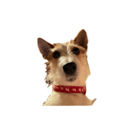 6e8d5738 d09b 4a3a 9062 34bd6e2f9a31 s