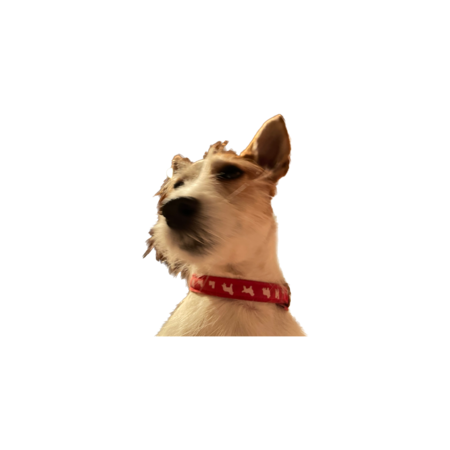 D9e30e78 7e5d 4ce1 8f73 dadbcac000ad s