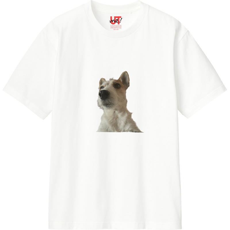 8f479ae5 073c 4b04 aff9 3af820bd4895 110 print ll