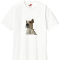 8f479ae5 073c 4b04 aff9 3af820bd4895 110 print s