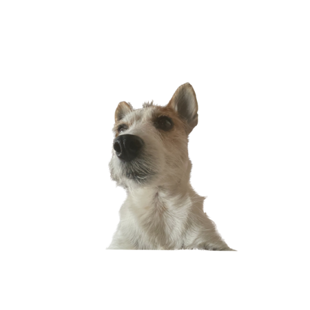 8f479ae5 073c 4b04 aff9 3af820bd4895 s