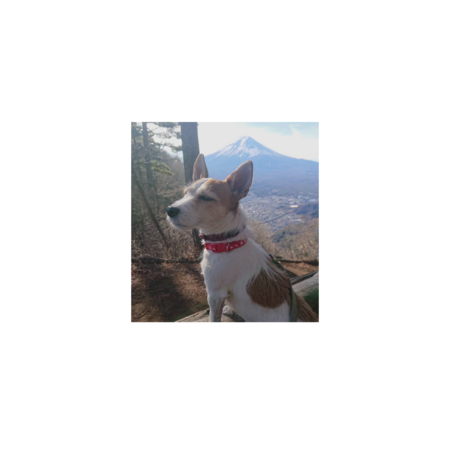 6c7ce634 aef1 4b04 8203 fdcf47630017 s