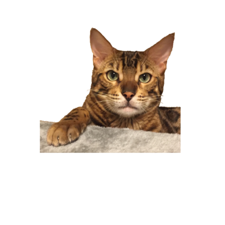 B8a2cc04 e992 4262 ac26 d17b6de58d13 s