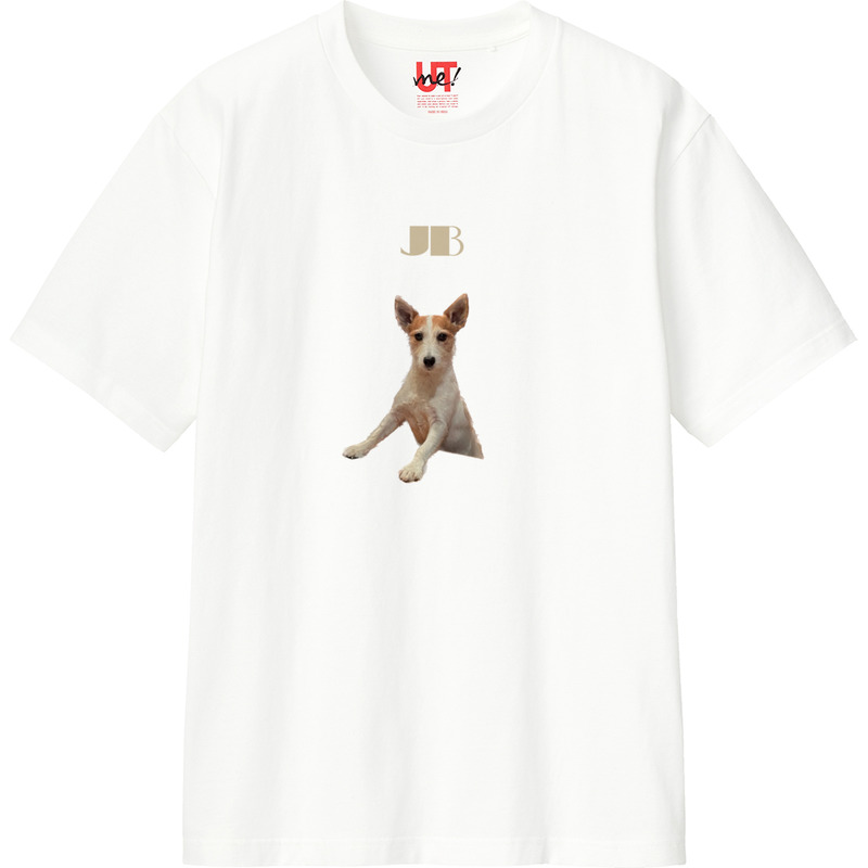 60feb4a0 089e 4186 8452 a4303632dcc9 110 print ll