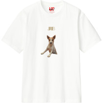 60feb4a0 089e 4186 8452 a4303632dcc9 110 print s