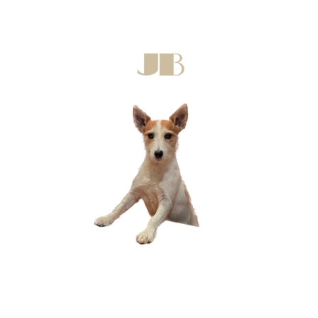 60feb4a0 089e 4186 8452 a4303632dcc9 s