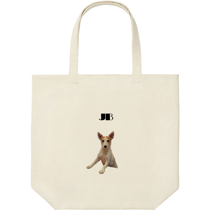 45c9c397 fd54 43ad b361 f66d8279fdf0 9 print ll