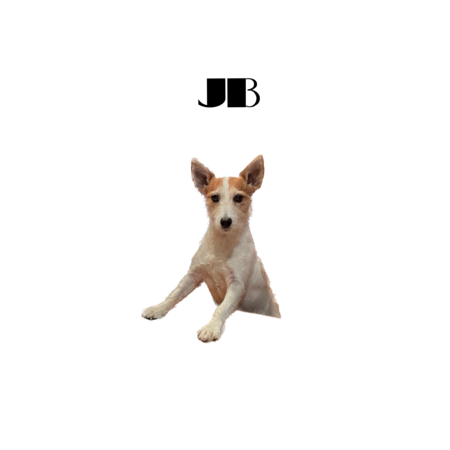 45c9c397 fd54 43ad b361 f66d8279fdf0 s