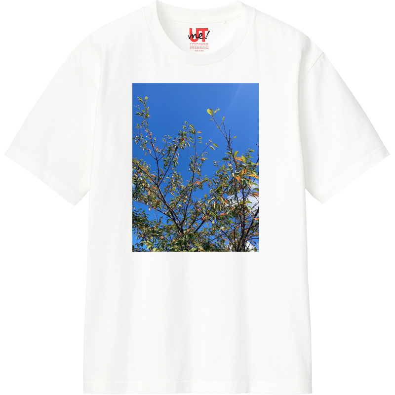 F3fca587 e4aa 4c57 aeaa 999308ac0450 110 print ll