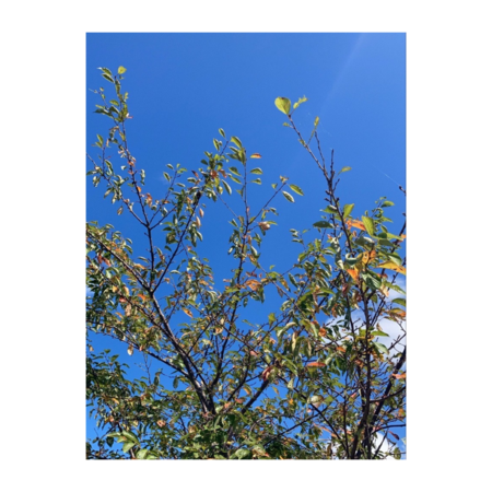 F3fca587 e4aa 4c57 aeaa 999308ac0450 s