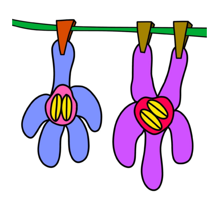 Bb5c6339 59b2 43c1 85cd 90f3d476aad8 s