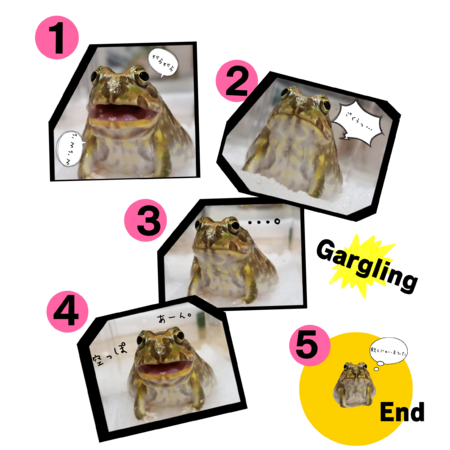 6ce46720 dfdf 44b6 8176 4384dadb1378 s