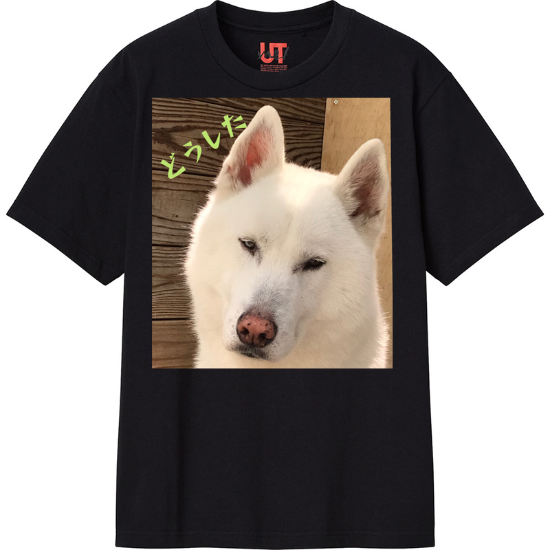 F55f1932 1cf1 41a8 ba76 18775ef83417 111 print ll