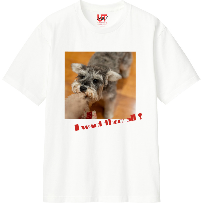 20e5a7c5 143c 40c6 8e1e acecacf03a5a 110 print ll